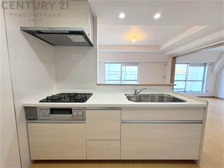 シンプルなデザインと使いやすさを兼ね備えた対面式システムキッチンは、効率的な作業スペースを提供し、家族やゲストとのコミュニケーションを促進します。