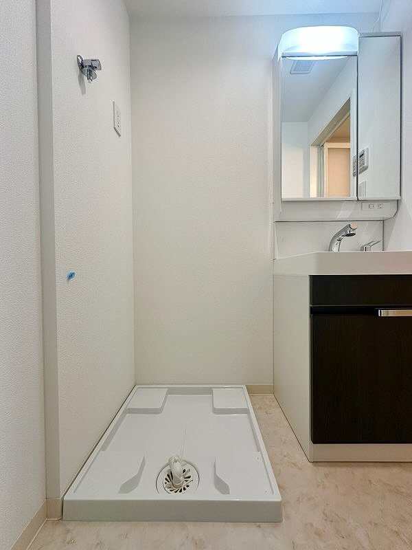スワンズシティ大阪フルーアの洗面所