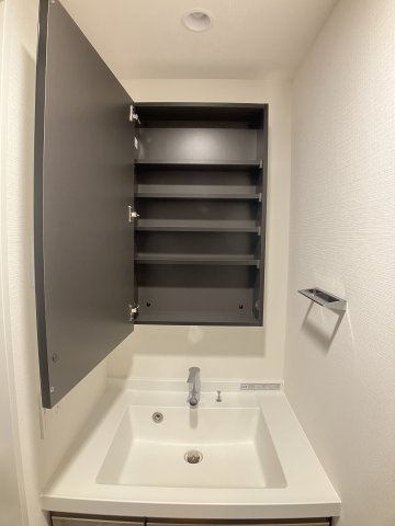 パークアクシス市川の洗面所