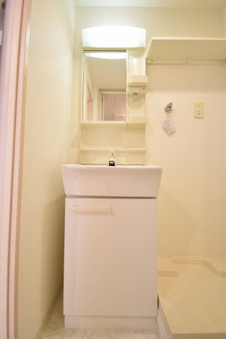 フォレスト西道頓堀の洗面所