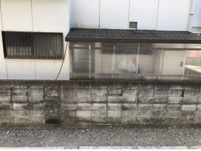 【展望】 | 花音