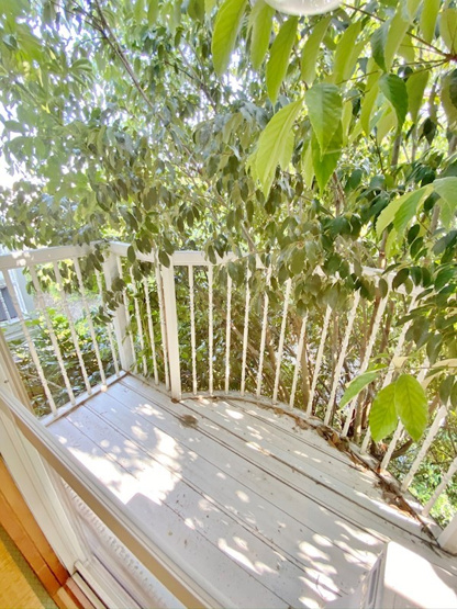 【バルコニー】ラプソディーインレッド