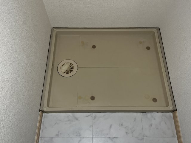 フラッツネオシティーのその他