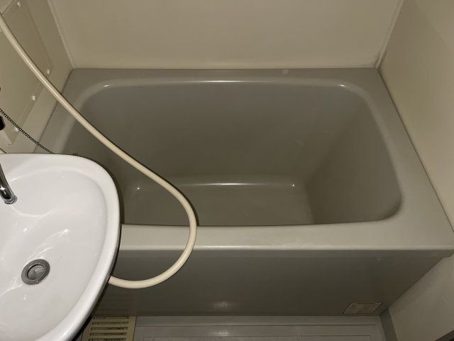 フラッツネオシティーの浴室
