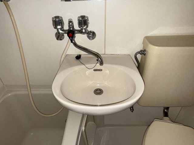 カルム白鷺の洗面所