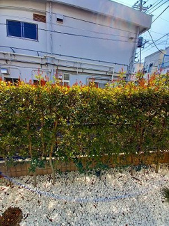 【展望】