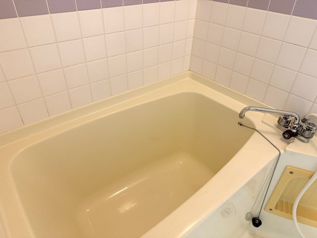 エクセラン今田の浴室