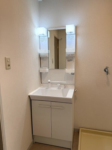 エクセラン今田の洗面所