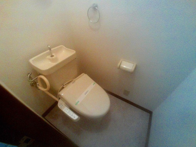 ルミナスハイツⅡのトイレ