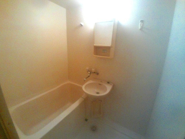 ルミナスハイツⅡの浴室