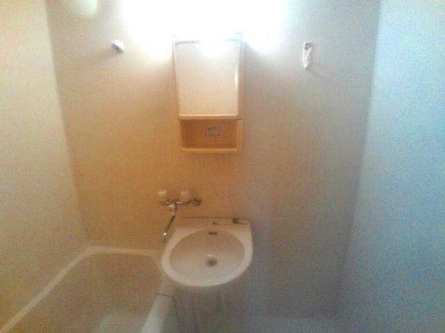 ルミナスハイツⅡの洗面所