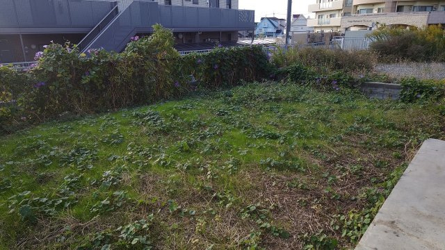 皐月マンションの庭