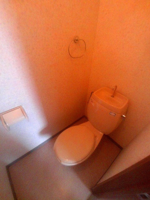 オーシャンビュー江井ヶ島のトイレ