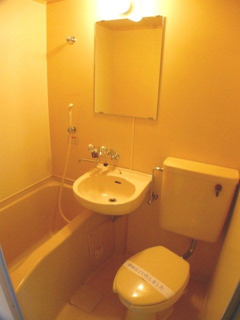 メゾンドリムールの洗面所