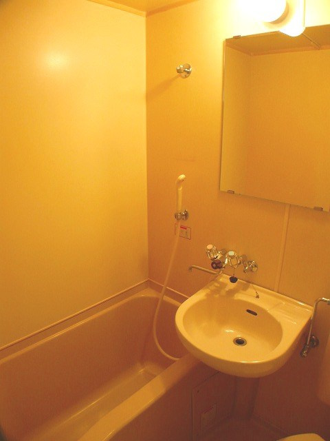 メゾンドリムールの浴室