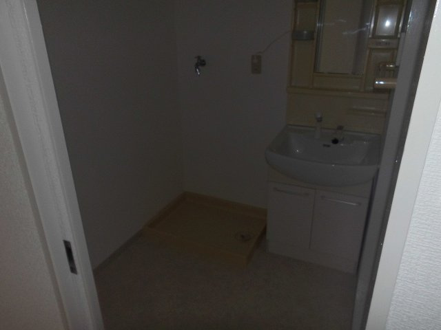 ビューハイツの洗面所