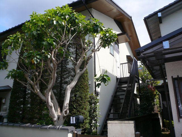 コーポかじかわ