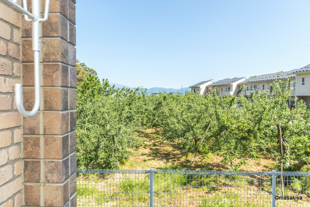 ジョナサンの展望|眺望