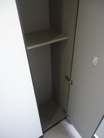 ティアラの収納