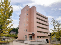 スプリングロードＡｋａｓａｋａの画像