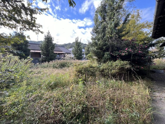 妙見町戸建ての庭