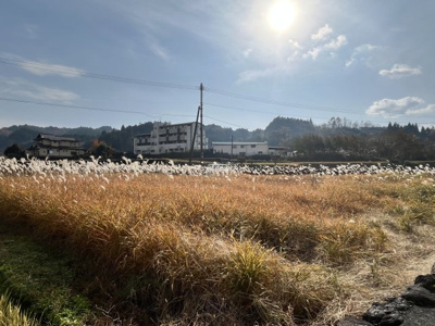 【外観】 | 日高　売地