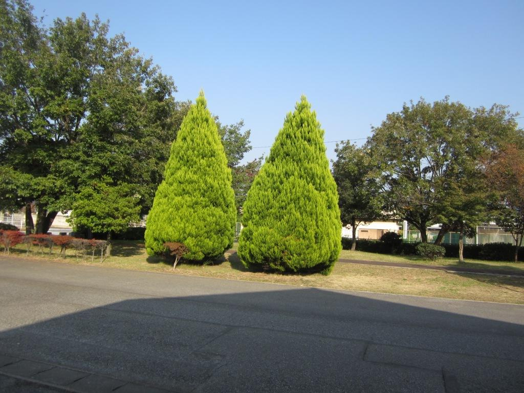 サカエハイツⅡのその他|周辺環境