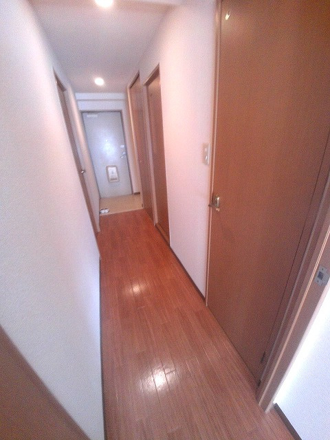 ヴェルドミールステラのその他