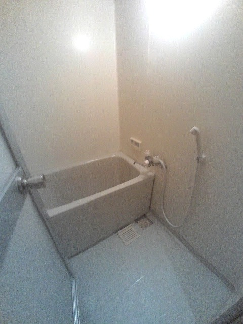 ヴェルドミールステラの浴室