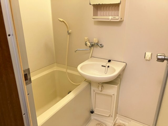 リバーサイドハイツAの洗面所