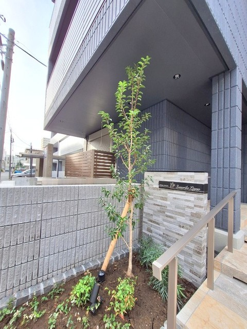 Ｓｏｎｏｒｉｌｏ　Ｌｉｇｎｏ　ソノリロ　リグノのエントランス|★エントランス★