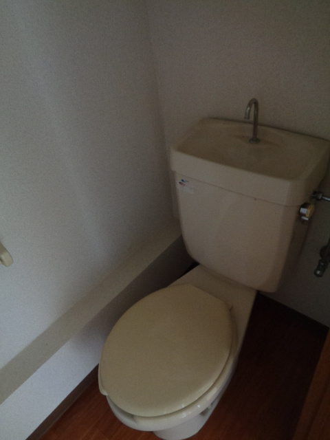 シティハイム　グリーンヒルＤのトイレ