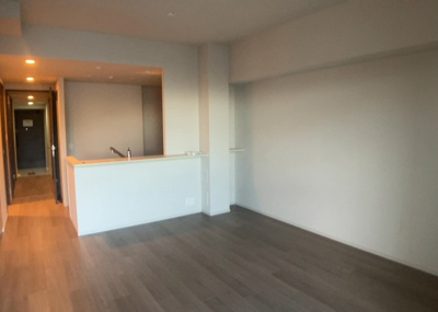 【居間・リビング】 | リーフィアレジデンス橋本 | 直線タイプはLとDKを一直線に並べた形で対面キッチンのタイプです。一般的なのでよく見かけるかもしれません。直線タイプに似た直接アイランドタイプは、キッチンとダイニングの間に壁がない分広く感じられます。