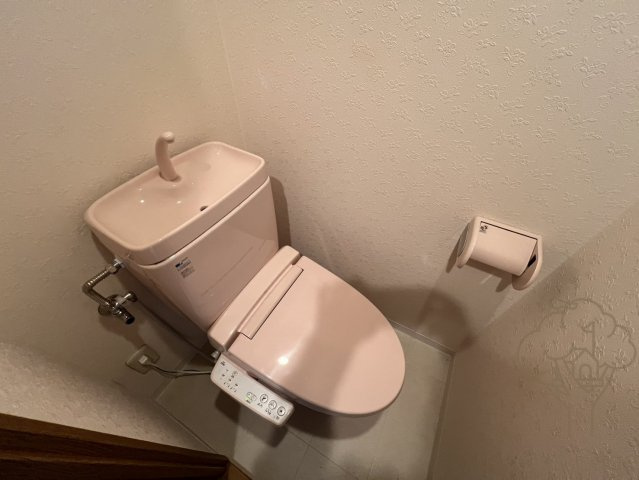 クイーンズコート天満のトイレ