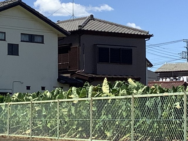  | 松戸市栗ヶ沢戸建