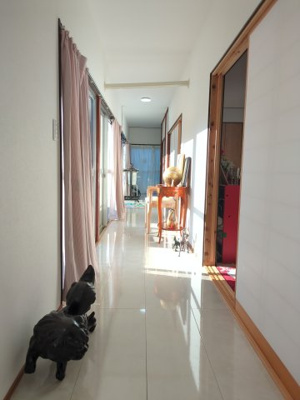 【内装】 | 大網白里市永田　事務所付中古戸建 | 内装は落ち着いています