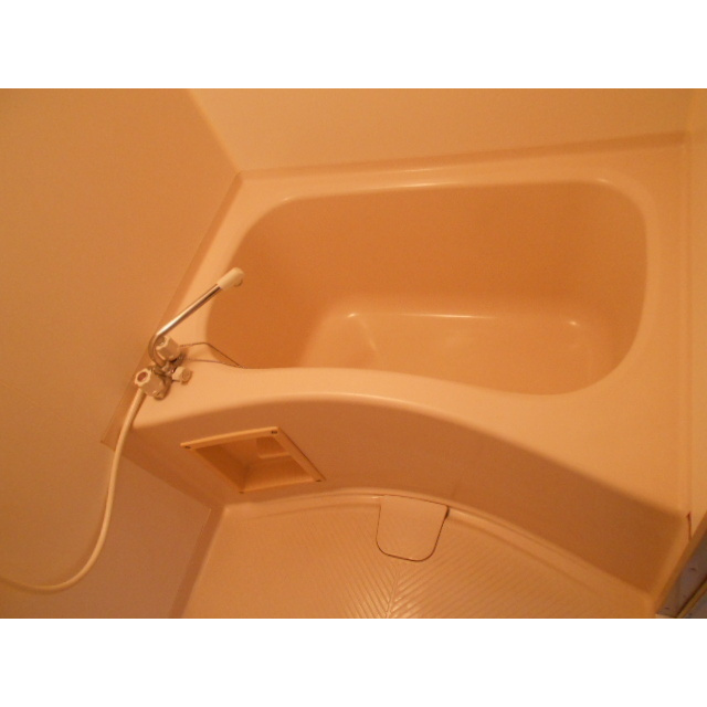 サン・アド・テシガワラの浴室