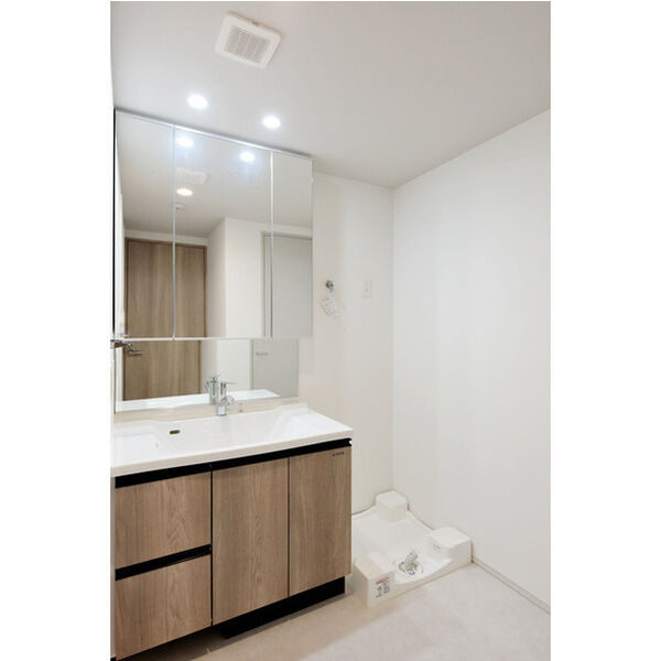 ミレーネ芦屋東山の洗面所