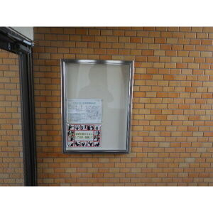 ルビービルのその他
