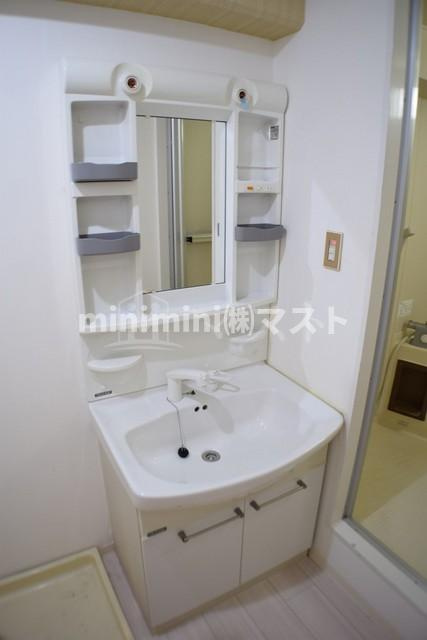 リッチライフダイコクの洗面所