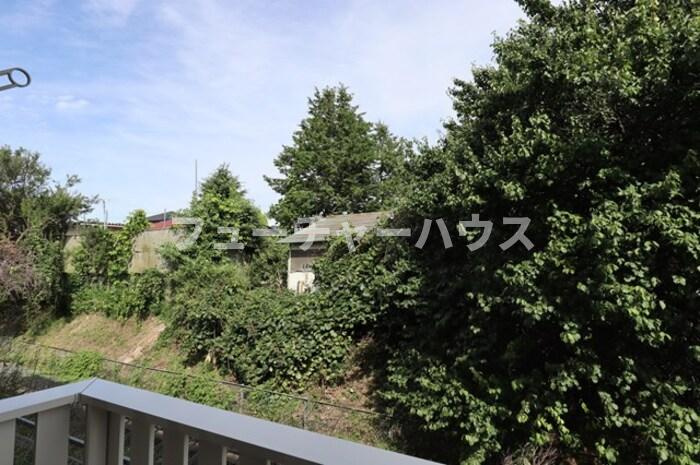 ティアラ　中丸の展望