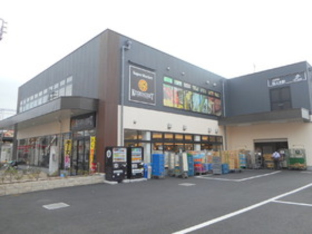 ラディアント桜上水のその他|キッチンコート