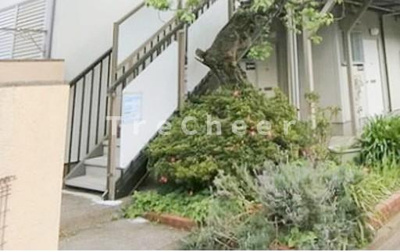 【エントランス】 | アクアコーポ