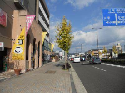 ヴィヴィ・プリメラの周辺|前面道路