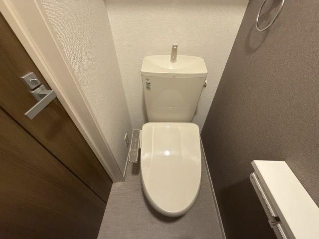 リバーテラスⅠのトイレ