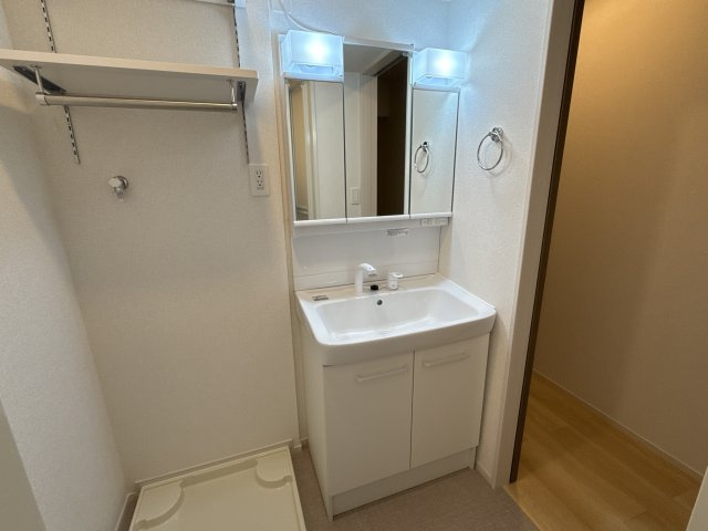 リバーテラスⅡの洗面所