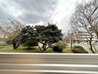 【展望】 | Ｅｌｅｎａ大江