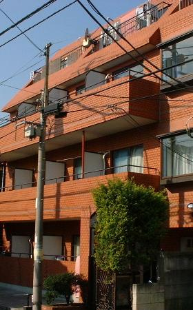 清水ハイツのその他|南向き　陽当良好