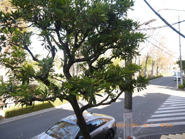 【展望】 | ニューグリーンハイツ