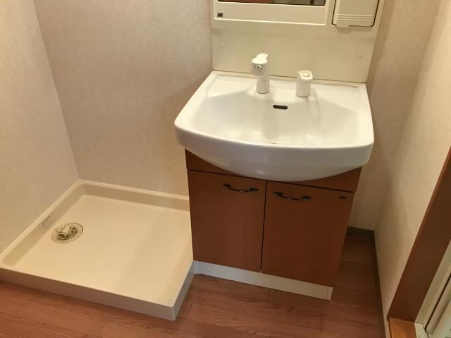 ルーラル中縄　　刈谷市近郊の賃貸はクラスホームの洗面所|洗面所